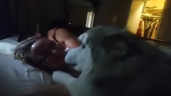 Dog licks Pristine Edge premium free cam & manyvids porn videos